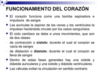 FUNCIONAMIENTO DEL CORAZÓN
 El corazón funciona como una bomba aspiradora e
impulsora de sangre
 Las aurículas la aspiran de las venas y los ventrículos la
impulsan haciéndola circular por los vasos sanguíneos
 El ciclo cardíaco se debe a unos movimientos, que son
de dos clases:
- de contracción o sístole: durante el cual el corazón se
vacía de sangre
- de dilatación o diástole: durante el cual el corazón se
llena de sangre
 Dentro de estas fases generales hay una sístole y
diástole auriculares y una sístole y diástole ventriculares
 Las válvulas evitan la circulación en sentido contrario
 