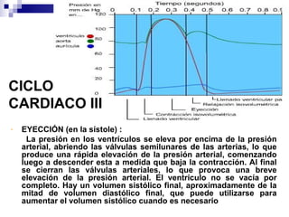 CICLO
CARDIACO III
- EYECCIÓN (en la sístole) :
La presión en los ventrículos se eleva por encima de la presión
arterial, abriendo las válvulas semilunares de las arterias, lo que
produce una rápida elevación de la presión arterial, comenzando
luego a descender esta a medida que baja la contracción. Al final
se cierran las válvulas arteriales, lo que provoca una breve
elevación de la presión arterial. El ventrículo no se vacía por
completo. Hay un volumen sistólico final, aproximadamente de la
mitad de volumen diastólico final, que puede utilizarse para
aumentar el volumen sistólico cuando es necesario
 