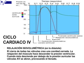 CICLO
CARDIACO IV
- RELAJACIÓN ISOVOLUMÉTRICA (en la diástole):
El cierre de todas las válvulas crea una cavidad cerrada. La
relajación del músculo hace descender la presión ventricular.
Cuando ésta desciende por debajo de la presión auricular las
válvulas AV se abren, provocando el llenado.
 