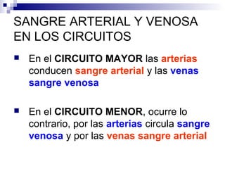 SANGRE ARTERIAL Y VENOSA
EN LOS CIRCUITOS
 En el CIRCUITO MAYOR las arterias
conducen sangre arterial y las venas
sangre venosa
 En el CIRCUITO MENOR, ocurre lo
contrario, por las arterias circula sangre
venosa y por las venas sangre arterial
 