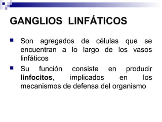 GANGLIOS LINFÁTICOS
 Son agregados de células que se
encuentran a lo largo de los vasos
linfáticos
 Su función consiste en producir
linfocitos, implicados en los
mecanismos de defensa del organismo
 