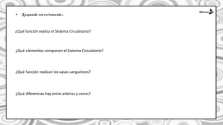 •
¿Qué función realiza el Sistema Circulatorio?
¿Qué elementos componen el Sistema Circulatorio?
¿Qué función realizan los vasos sanguíneos?
¿Qué diferencias hay entre arterias y venas?
 
