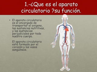 1.-¿Que es el aparato
circulatorio ?su función.
• El aparato circulatorio
es el encargado de
transportar el oxigeno,
las sustancias nutritivas,
y las sustancias
perjudiciales por todo
nuestro cuerpo.
El aparato circulatorio
está formado por el
corazón y los vasos
sanguíneos.
 