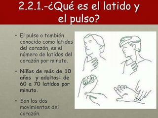 2.2.1.-¿Qué es el latido y
el pulso?
• El pulso o también
conocido como latidos
del corazón, es el
número de latidos del
corazón por minuto.
• Niños de más de 10
años y adultos: de
60 a 70 latidos por
minuto.
• Son los dos
movimientos del
corazón.
 