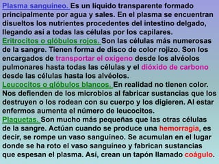 Plasma sanguíneo. Es un líquido transparente formado
principalmente por agua y sales. En el plasma se encuentran
disueltos los nutrientes procedentes del intestino delgado,
llegando así a todas las células por los capilares.
Eritrocitos o glóbulos rojos. Son las células más numerosas
de la sangre. Tienen forma de disco de color rojizo. Son los
encargados de transportar el oxígeno desde los alvéolos
pulmonares hasta todas las células y el dióxido de carbono
desde las células hasta los alvéolos.
Leucocitos o glóbulos blancos. En realidad no tienen color.
Nos defienden de los microbios al fabricar sustancias que los
destruyen o los rodean con su cuerpo y los digieren. Al estar
enfermos aumenta el número de leucocitos.
Plaquetas. Son mucho más pequeñas que las otras células
de la sangre. Actúan cuando se produce una hemorragia, es
decir, se rompe un vaso sanguíneo. Se acumulan en el lugar
donde se ha roto el vaso sanguíneo y fabrican sustancias
que espesan el plasma. Así, crean un tapón llamado coágulo.
 