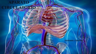 APARATO
CIRCULATORIO
Anatomía y función
 