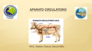 APARATO CIRCULATORIO
MVZ. Debbie Chávez García MSc.
 