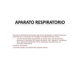 APARATO RESPIRATORIO
Durante la vida fetal los pulmones están llenos de líquido y no tienen funciones
respiratorias; sin embargo, son fisiológica y metabolicamente activos:
• simulan movimientos respiratorios, se inician antes del nacimiento y
provocan la aspiración de liquido amniótico , este liquido es importante
para estimular al desarrollo de los pulmones y acondicionar los
musculos respiratorios
sintetizan surfactante
y secretan líquido a los potenciales espacios aéreos
 