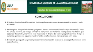 CONCLUSIONES
➢ El sistema circulatorio está formado por vasos sanguíneos que transportan sangre desde el corazón y hacia
el corazón.
➢ Se encarga de transportar nutrientes y oxigeno a través y alrededor de nuestro cuerpo llevándolos a todas
las células, a demás, se encarga también de transportar los elementos o compuestos metabólicos que
deben ser desechados, intervienen en el mecanismo de defensa del cuerpo y regula la cantidad de agua y
sustancias químicas que requieren nuestros tejidos para funcionar de manera correcta entre otros.
➢ El recorrido que sigue la sangre siempre va en la misma dirección, para que las cosas sigan funcionando como
deben funciona
 