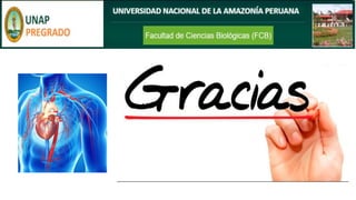 Aparato Circulatorio.pdf