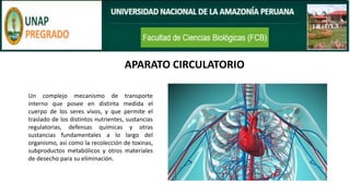 APARATO CIRCULATORIO
Un complejo mecanismo de transporte
interno que posee en distinta medida el
cuerpo de los seres vivos, y que permite el
traslado de los distintos nutrientes, sustancias
regulatorias, defensas químicas y otras
sustancias fundamentales a lo largo del
organismo, así como la recolección de toxinas,
subproductos metabólicos y otros materiales
de desecho para su eliminación.
 