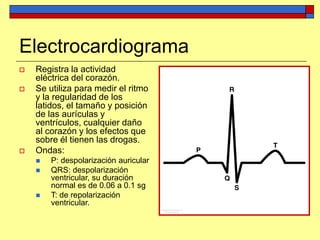 Electrocardiograma
 Registra la actividad
eléctrica del corazón.
 Se utiliza para medir el ritmo
y la regularidad de los
latidos, el tamaño y posición
de las aurículas y
ventrículos, cualquier daño
al corazón y los efectos que
sobre él tienen las drogas.
 Ondas:
 P: despolarización auricular
 QRS: despolarización
ventricular, su duración
normal es de 0.06 a 0.1 sg
 T: de repolarización
ventricular.
 