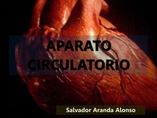 APARATO
CIRCULATORIO
Salvador Aranda Alonso
 