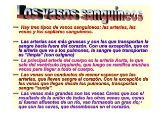 13
Hay tres tipos de vasos sanguHay tres tipos de vasos sanguííneos: las arterias, lasneos: las arterias, las
venas y los capilares sanguvenas y los capilares sanguííneos.neos.
Las arterias son mLas arterias son máás gruesas y son las que transportan las gruesas y son las que transportan la
sangre hacia fuera del corazsangre hacia fuera del corazóón. Con una excepcin. Con una excepcióón, que esn, que es
la arteria que va a los pulmones, la sangre que transportanla arteria que va a los pulmones, la sangre que transportan
eses ““limpialimpia”” (con ox(con oxíígeno)geno)
La principal arteria del cuerpo es la arteria Aorta, la queLa principal arteria del cuerpo es la arteria Aorta, la que
sale del ventrsale del ventríículo izquierdo, que luego se ramifica muchasculo izquierdo, que luego se ramifica muchas
veces para llegar a todo el cuerpo.veces para llegar a todo el cuerpo.
Las venas son conductos de menor espesor que lasLas venas son conductos de menor espesor que las
arterias, que llevan sangre al corazarterias, que llevan sangre al corazóón. Con la excepcin. Con la excepcióón den de
las venas que llegan desde los pulmones, transportanlas venas que llegan desde los pulmones, transportan
sangresangre ““suciasucia””..
Las venas mLas venas máás grandes son las venas Cavas que son els grandes son las venas Cavas que son el
resultado de la uniresultado de la unióón de todas las otras venas que, comon de todas las otras venas que, como
si fueran afluentes de un rsi fueran afluentes de un ríío, van formando un gran ro, van formando un gran ríío,o,
que son las cavas, que desembocan en el corazque son las cavas, que desembocan en el corazóón.n.
 