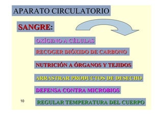 20
APARATO CIRCULATORIO
OXOXÍÍGENO A CGENO A CÉÉLULASLULAS
RECOGER DIRECOGER DIÓÓXIDO DE CARBONOXIDO DE CARBONO
NUTRICINUTRICIÓÓN AN A ÓÓRGANOS Y TEJIDOSRGANOS Y TEJIDOS
ARRASTRAR PRODUCTOS DE DESECHOARRASTRAR PRODUCTOS DE DESECHO
DEFENSA CONTRA MICROBIOSDEFENSA CONTRA MICROBIOS
REGULAR TEMPERATURA DEL CUERPOREGULAR TEMPERATURA DEL CUERPO
SANGRESANGRE:
10
 