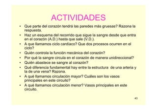 43
ACTIVIDADES
• Que parte del corazón tendrá las paredes más gruesas? Razona la
respuesta.
• Haz un esquema del recorrido que sigue la sangre desde que entra
en el corazón (A.D.) hasta que sale (V.D.).
• A que llamamos ciclo cardíaco? Que dos procesos ocurren en el
ciclo?
• Quién controla la función mecánica del corazón?
• Por qué la sangre circula en el corazón de manera unidireccional?
• Quién abastece se sangre al corazón?
• Qué diferencia fundamental hay entre la estructura de una arteria y
la de una vena? Razona.
• A qué llamamos circulación mayor? Cuáles son los vasos
principales en este circuito?
• A qué llamamos circulación menor? Vasos principales en este
circuito.
 