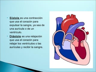  Sístole es una contracción
que usa el corazón para
expulsar la sangre, ya sea de
una aurícula o de un
ventrículo.
 Diástole es una relajación
que usa el corazón para
relajar los ventrículos o las
aurículas y recibir la sangre.
 