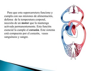 Para que esta supercarretera funcione y
cumpla con sus misiones de alimentación,
defensa de la temperatura corporal,
necesita de un motor que la mantenga
activada permanentemente. Esta función
esencial la cumple el corazón. Este sistema
está compuesto por el corazón, vasos
sanguíneos y sangre.
 