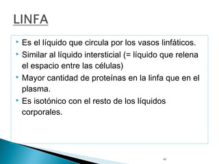 45
 Es el líquido que circula por los vasos linfáticos.
 Similar al líquido intersticial (= líquido que relena
el espacio entre las células)
 Mayor cantidad de proteínas en la linfa que en el
plasma.
 Es isotónico con el resto de los líquidos
corporales.
 