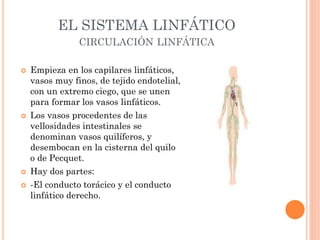EL SISTEMA LINFÁTICO
CIRCULACIÓN LINFÁTICA
 Empieza en los capilares linfáticos,
vasos muy finos, de tejido endotelial,
con un extremo ciego, que se unen
para formar los vasos linfáticos.
 Los vasos procedentes de las
vellosidades intestinales se
denominan vasos quilíferos, y
desembocan en la cisterna del quilo
o de Pecquet.
 Hay dos partes:
 -El conducto torácico y el conducto
linfático derecho.
 