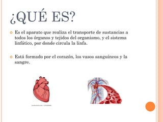 ¿QUÉ ES?
 Es el aparato que realiza el transporte de sustancias a
todos los órganos y tejidos del organismo, y el sistema
linfático, por donde circula la linfa.
 Está formado por el corazón, los vasos sanguíneos y la
sangre.
 