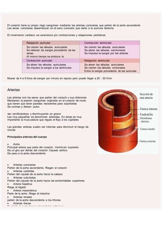 El corazón tiene su propio riego sanguíneo mediante las arterias coronarias que parten de la aorta ascendente
Las venas coronarias desembocan en el seno coronario que vierte a la aurícula derecha
El movimiento cardiaco se caracteriza por contracciones y relajaciones periódicas
Relajación auricular: Contracción ventricular
Se cierran las válvulas auriculares
Se rellenan de sangre procedente de las
venas.
Al mismo tiempo se produce la
Se cierran las válvulas auriculares
Se abren las válvulas semilunares
Se impulsa la sangre por las arterias
Contracción auricular: Relajación ventricular
Se abren las válvulas auriculares
Se impulsa la sangre a los ventrículos
Se abren las válvulas auriculares
Se cierran las válvulas smilunares
Entra la sangre procedente de las aurículas
Mueve de 4 a 6 litros de sangre por minuto en reposo pero puede llegar a 20 - 30 l/min
Arterias
Las arterias son los vasos que parten del corazón y sus divisiones
Mantienen la presión sanguínea originada en el corazón de modo
que tienen que tener paredes resistentes para soportarlas
Se contrae y dilaran: pulso
van ramificándose y disminuyendo en grosor
Las muy pequeñas se denominan arteriolas. En estas es muy
importante la musculatura que regula el flujo a los capilares
Las grandes arterias suelen ser internas para disminuir el riesgo de
roturas
Principales arterias del cuerpo
 Aorta
Principal arteria que parte del corazón. Ventrículo izquierdo.
Da un giro por detrás del corazón: Cayado aórtico
Da paso a la aorta descendente
 Arterias coronarias
Parten de la aorta ascendente. Riegan el corazón
 Arterias carótidas
Parten del cayado de la aorta hacia la cabeza
 Arterias subclavias
Parten del cayado de la aorta hacia las extremidades superiores.
 Arteria hepática
Riega el hígado
 Arteria mesentérica
Parte de la aorta. Riega el intestino
 Arterias renales
parten de la aorta descendente a los riñones
 Arterias iliacas
Se divide la aorta hacia extremidades inferiores.
 