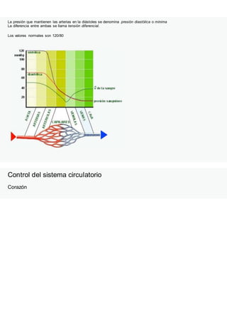 La presión que mantienen las arterias en la diástoles se denomina presión diastólica o mínima
La diferencia entre ambas se llama tensión diferencial.
Los valores normales son 120/80
Control del sistema circulatorio
Corazón
 