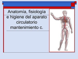 Anatomía, fisiología
e higiene del aparato
circulatorio
mantenimiento c.
 