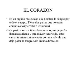 EL CORAZON Es un organo musculoso que bombea la sangre por todo el cuerpo. Tiene dos partes que no estan comunicados(derecha e izquierda) Cada parte a su vez tiene dos camaras,una pequeña llamada auricula y otra mayor ventricula, estas camaras estan comunicados por una valvula que deja pasar la sangre solo en una direccion. 
