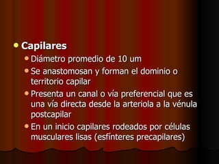    Capilares
     Diámetro   promedio de 10 um
     Se anastomosan y forman el dominio o
      territorio capilar
     Presenta un canal o vía preferencial que es
      una vía directa desde la arteriola a la vénula
      postcapilar
     En un inicio capilares rodeados por células
      musculares lisas (esfínteres precapilares)
 