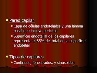    Pared capilar
     Capa  de células endoteliales y una lámina
      basal que incluye pericitos
     Superficie endotelial de los capilares
      representa el 85% del total de la superficie
      endotelial

   Tipos de capilares
     Continuos,   fenestrados, y sinusoides
 