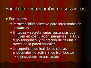 Endotelio e intercambio de sustancias
   Funciones
     Permeabilidad   selectiva para intercambio de
      sustancias
     Sintetiza y secreta varias sustancias que
      influyen en coagulación sanguínea, la TA y
      flujo sanguíneo, y migración de células a
      través de la pared vascular
     La superficie luminal de las células
      endoteliales no activa a los trombocitos
       Anticoagulante   heparan-sulfato
 