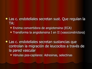    Las c. endoteliales secretan sust. Que regulan la
    TA:
       Enzima convertidora de angiotensina (ECA)
       Transforma la angiotensina I en II (vasoconstrictora)

   Las c. endoteliales secretan sustancias que
    controlan la migración de leucocitos a través de
    la pared vascular
       Vénulas pos-capilares: Adresinas, selectinas
 