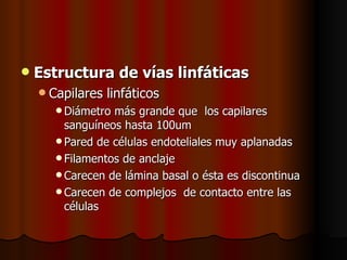    Estructura de vías linfáticas
     Capilares   linfáticos
       Diámetro más grande que los capilares
        sanguíneos hasta 100um
       Pared de células endoteliales muy aplanadas
       Filamentos de anclaje
       Carecen de lámina basal o ésta es discontinua
       Carecen de complejos de contacto entre las
        células
 
