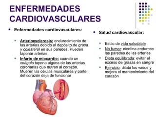 ENFERMEDADES
CARDIOVASCULARES
   Enfermedades cardiovasculares:                    Salud cardiovascular:
       Arterioesclerosis: endurecimiento de
        las arterias debido al depósito de grasa
                                                          Estilo de vida saludable
        y colesterol en sus paredes. Pueden               No fumar: nicotina endurece
        taponar arterias                                   las paredes de las arterias
       Infarto de miocardio: cuando un                   Dieta equilibrada: evitar el
        coágulo tapona alguna de las arterias              exceso de grasas en sangre
        coronarias que nutren al corazón.                 Ejercicio: dilata los vasos y
        Mueren las células musculares y parte              mejora el mantenimiento del
        del corazón deja de funcionar                      corazón
 