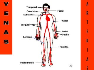 V        A
E        R
N        T
A        E

S        R
         I
         A
    30   5
 