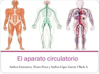 El aparato circulatorio
Andrea Extremera, Álvaro Perea yAndrea López García 1ºBach-A
 
