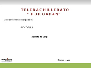 TELEBACHILLERATO “HUILOAPAN” Victo Eduardo Montiel palacios  BIOLOGIA I Nogales , ver  Aparato de Golgi  
