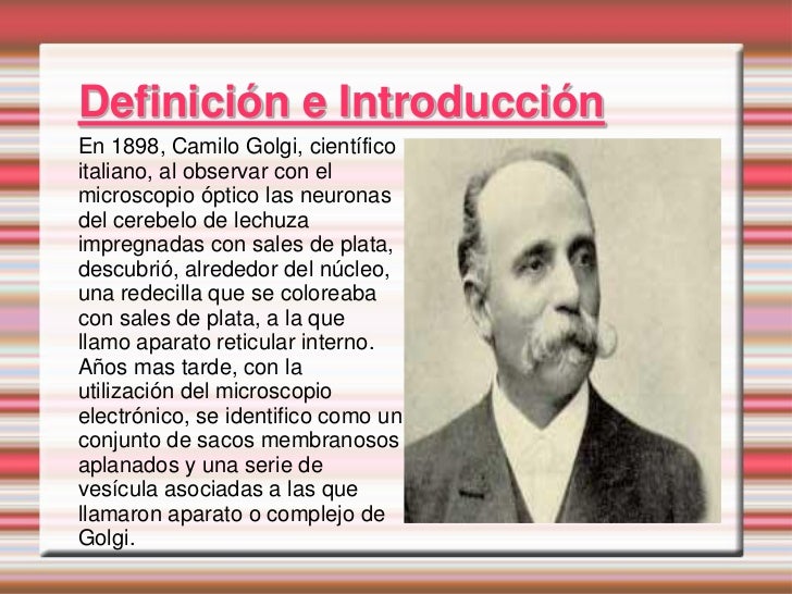 Quien Descubrió El Aparato De Golgi
