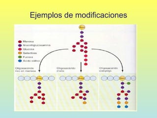 Ejemplos de modificaciones
 