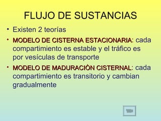 FLUJO DE SUSTANCIAS
• Existen 2 teorías
• MODELO DE CISTERNA ESTACIONARIA: cada
  compartimiento es estable y el tráfico es
  por vesículas de transporte
• MODELO DE MADURACIÒN CISTERNAL: cada
  compartimiento es transitorio y cambian
  gradualmente
 