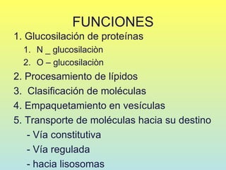 FUNCIONES
1. Glucosilación de proteínas
  1. N _ glucosilaciòn
  2. O – glucosilaciòn
2. Procesamiento de lípidos
3. Clasificación de moléculas
4. Empaquetamiento en vesículas
5. Transporte de moléculas hacia su destino
   - Vía constitutiva
   - Vía regulada
   - hacia lisosomas
 