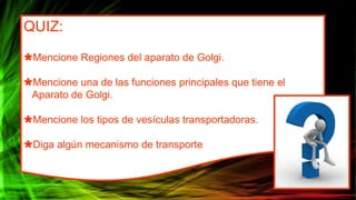 QUIZ:
Mencione Regiones del aparato de Golgi.
Mencione una de las funciones principales que tiene el
Aparato de Golgi.
Mencione los tipos de vesículas transportadoras.
Diga algún mecanismo de transporte
 