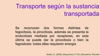 Se reconocen dos formas distintas de
fagocitosis, la pinocitosis, además se presenta la
endocitosis mediada por receptores, en esta
última se puede dar la pinocitosis o bien la
fagositosis: todas ellas requieren energía
Transporte según la sustancia
transportada
Muller, E. (2008). Bioquímica (1ª Ed.) Barcelona: Reverté
 
