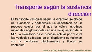Transporte según la sustancia
dirección
El transporte vesicular según la dirección se divide
en: exocitosis y endocitosis. La endocitosis es un
proceso celular por el que la célula introduce
moléculas englobándolas en una invaginación de la
MP. La exocitosis es el proceso celular por el cual
las vesículas situadas en el citoplasma se fusionan
con la membrana citoplasmática y liberan su
contenido.
Muller, E. (2008). Bioquímica (1ª Ed.) Barcelona: Reverté
 