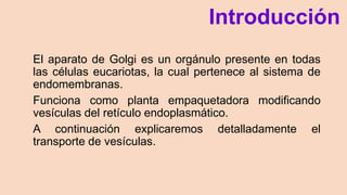 Introducción
El aparato de Golgi es un orgánulo presente en todas
las células eucariotas, la cual pertenece al sistema de
endomembranas.
Funciona como planta empaquetadora modificando
vesículas del retículo endoplasmático.
A continuación explicaremos detalladamente el
transporte de vesículas.
 