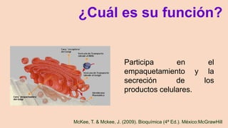 ¿Cuál es su función?
Participa en el
empaquetamiento y la
secreción de los
productos celulares.
McKee, T. & Mckee, J. (2009). Bioquímica (4ª Ed.). México:McGrawHill
 