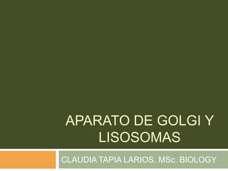 APARATO DE GOLGI Y
    LISOSOMAS
CLAUDIA TAPIA LARIOS. MSc. BIOLOGY
 