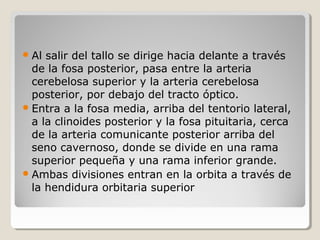 Al salir del tallo se dirige hacia delante a través
de la fosa posterior, pasa entre la arteria
cerebelosa superior y la arteria cerebelosa
posterior, por debajo del tracto óptico.
Entra a la fosa media, arriba del tentorio lateral,
a la clinoides posterior y la fosa pituitaria, cerca
de la arteria comunicante posterior arriba del
seno cavernoso, donde se divide en una rama
superior pequeña y una rama inferior grande.
Ambas divisiones entran en la orbita a través de
la hendidura orbitaria superior
 