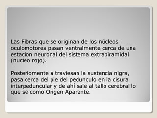 Las Fibras que se originan de los núcleosLas Fibras que se originan de los núcleos
oculomotores pasan ventralmente cerca de unaoculomotores pasan ventralmente cerca de una
estacion neuronal del sistema extrapiramidalestacion neuronal del sistema extrapiramidal
(nucleo rojo).(nucleo rojo).
Posteriomente a traviesan la sustancia nigra,Posteriomente a traviesan la sustancia nigra,
pasa cerca del pie del pedunculo en la cisurapasa cerca del pie del pedunculo en la cisura
interpeduncular y de ahí sale al tallo cerebral lointerpeduncular y de ahí sale al tallo cerebral lo
que se como Origen Aparente.que se como Origen Aparente.
 